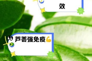 芦荟的生长习性与要求（探究芦荟是喜水还是喜旱的性质）