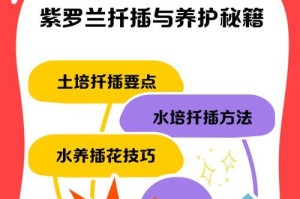 紫根兰繁殖培育指南（学习如何成功繁殖和培育紫根兰）