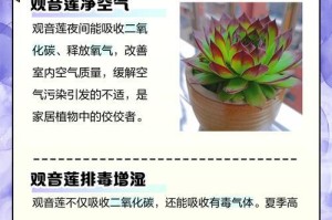 以观音莲烂根治疗的有效方法（观音莲烂根治疗，祛除病根无忧）
