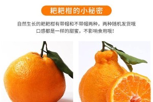 揭秘丑橘的最佳产地（品质优良，口感独特，让你爱不释口的“醜橘”）