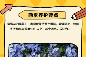 蓝花藤如何在北方过冬（耐寒品种选择与养护技巧）