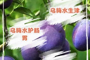 以乌梅花春天怎么养（打造绽放美丽的乌梅花园——乌梅花养护指南）