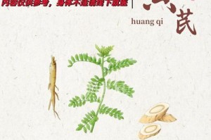 黄芪的正确食用方法与注意事项（谨慎食用，健康有保障）