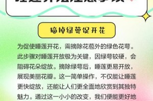 如何养护睡莲以达到开花效果（室外睡莲养护方法，让你的花园更美丽）
