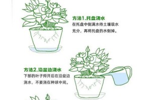 掌握以亮红仙人指的正确浇水方法（以亮红仙人指的水分需求及浇水频率）