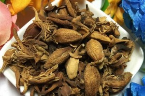 佛手花的分类、特点与培育技巧（佛手花的种类、形态特征及种植要点）