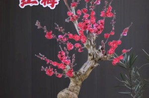 红梅枝养护大全（以红梅枝怎么养为主题，教你轻松打造盛开的红梅花园）