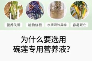 以碗莲入泥的适宜施肥方法（科学施肥助力碗莲茁壮成长）