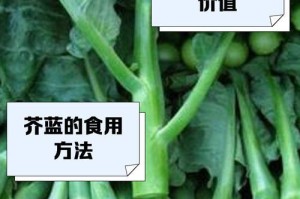 如何正确播种芥蓝？（芥蓝播种时间、步骤、方法全解析）
