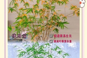 竹子叶为何发黄？（探究竹子叶发黄的原因与解决方法）