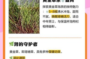 黄金草的养殖与应用技巧（探寻黄金草的种植窍门，提升收益率）
