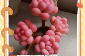 如何正确浇水给桃蛋？（桃蛋浇水方法与注意事项）