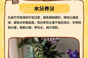 孔雀竹芋（探秘孔雀竹芋的种植与养护）