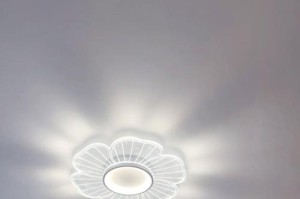 为什么你的卧室需要太阳花？（探究太阳花对卧室环境的改善效果及如何养护）