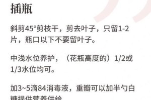 水仙百合花的醒花方法（培养充足的营养是水仙百合花醒花的关键）