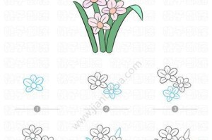 花卉世界的奇妙之旅（探索花卉的多样魅力与养护技巧）