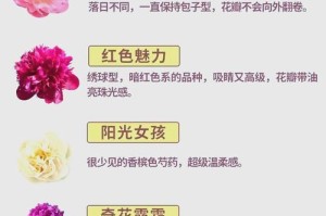 春季怎样养护芍药？（芍药养护指南，让你的芍药在春天绽放灿烂）