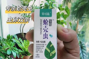 花草长了芥壳虫，如何治疗？（掌握有效方法，保护花草的生长）