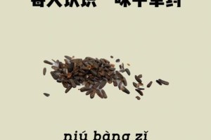 牛蒡种植与收获时间详解（掌握牛蒡种植的时间和技巧，收获更多的优质牛蒡）