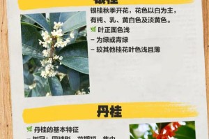 探究桂花树的植物类别（乔木还是灌木，你知道吗？）