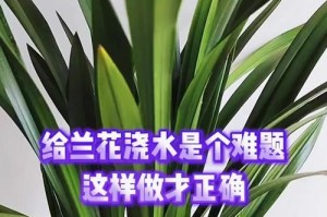 兰花花期的适宜浇水方法（合理掌握兰花浇水时机的关键）