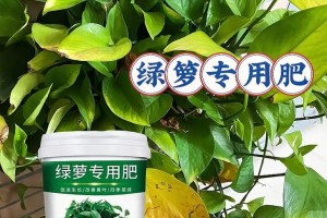 绿萝为什么在秋季会变黄？（绿萝秋季发黄的原因与应对方法）