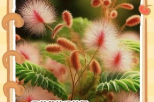 了解含羞草，认识害羞的花儿（探秘含羞草的生长环境、特征及意义）
