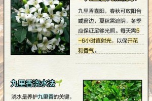 夏季养护九里香盆栽的秘诀（打造美丽清爽的夏日绿植，九里香教你如何养）