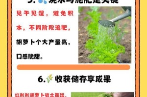 如何成功种植树萝卜（树萝卜种植的技巧与注意事项）
