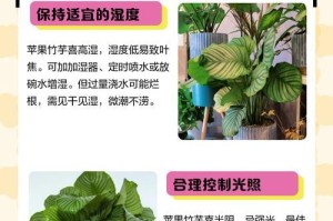 探秘竹芋发芽的奥秘（揭开竹芋发芽的秘密与技巧）