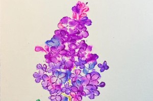 风信子的睡眠方式与效果（探寻风信子睡眠法的奥秘，提高睡眠质量）