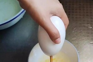 蛋壳发酵的奇妙用途（探索蛋壳的生态循环利用之道）