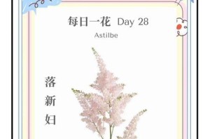 以切花落新妇的养护技巧（打造美丽新娘的小秘诀）