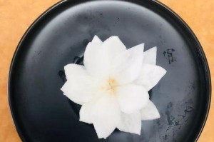 冬天如何养护萝卜连花？（-冬季养护技巧）