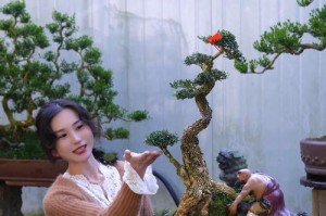 盆景艺术（探索盆景剪枝的艺术技巧与创意）
