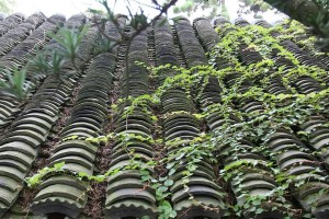 屋顶瓦松除去的方法与注意事项（保护屋顶安全的关键措施与正确操作方法）