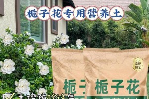 栀子花为何不开花？（探寻栀子花不开花的原因和解决方法）