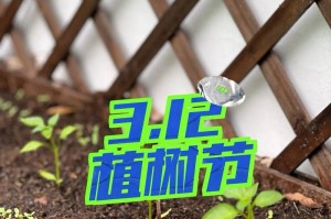 牛油果种子种植指南（如何种植牛油果，让它成为你家园的绿色宝贝？）