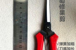 如何修剪葡萄藤以促进花朵生长（关键技巧和步骤，助力您打造美丽花园）