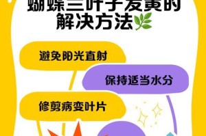 蝴蝶兰叶子变硬的原因及处理方法