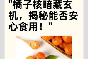 橘子籽的榨取方法与用途研究（利用橘子籽的独特价值，探索橘子籽的榨取方法及其多样化应用）