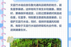 水竹根部发芽技巧与方法（掌握关键步骤，让水竹根部成功发芽）