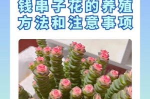 以钱串怎么修剪（技巧和步骤分享，打造美丽的盆景）