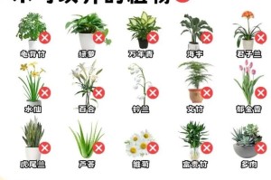 猫眼花的养植指南（从选择品种到护理技巧，教你打造美丽的猫眼花园）