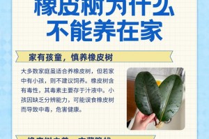 橡皮树斑点儿之谜（探索橡皮树叶上神秘斑点的成因）