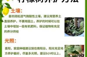 如何选用适合柠檬树的肥料？（柠檬树肥料的类型及用法）