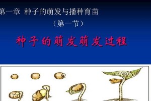种子发芽的判断方法与过程（了解种子发芽的关键指标和实验方法）