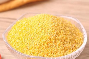探秘栗米的神奇之处（了解栗米的营养价值、健康功效与美食食用）