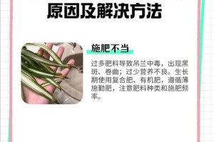 吊兰叶子变黄的原因与解决方法（探究吊兰叶子变黄的原因，提供有效的养护技巧）