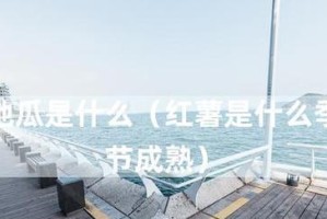 红薯成熟时间剖析（揭秘红薯的生长规律及影响因素）